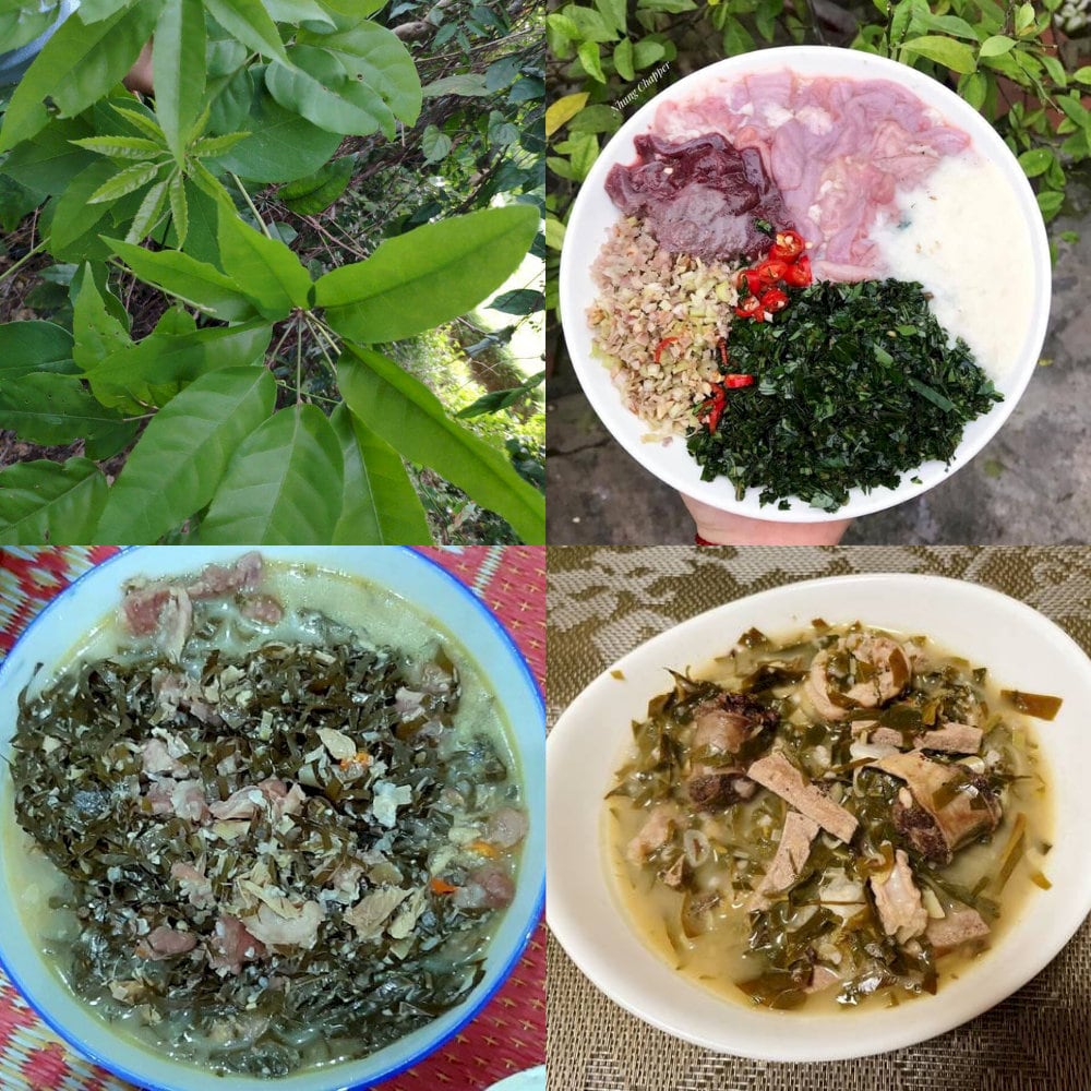 Canh lá đắng